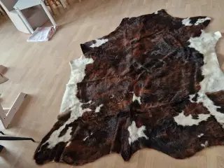 Stort koskind sælges 