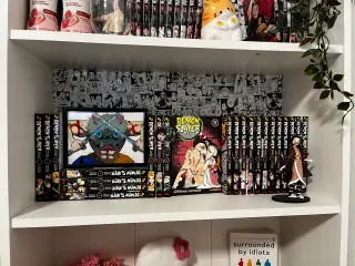 Full Demon Slayer Manga Set 