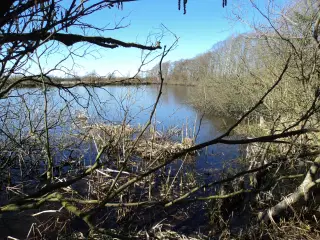 Naturareal i Midtjylland.