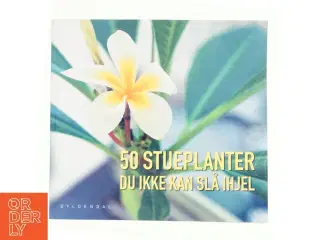 50 stueplanter du ikke kan slå ihjel (Bog)