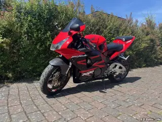 Honda CBR 954 RR