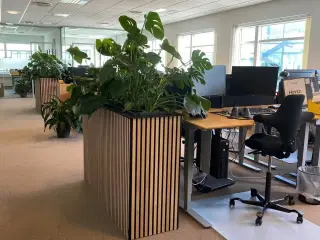 Kontor i fællesskab med særdeles god udsigt
