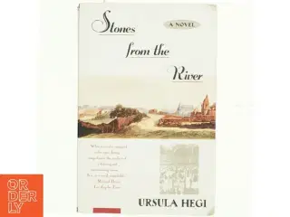 Stones from the river af Ursula Hegi (Bog)
