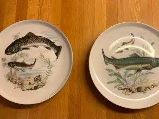 Fisketallerkener