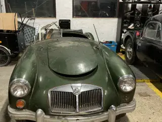 MGA