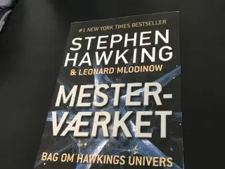 Mesterværket - Bag om Hawkings Univers