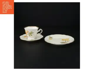 Porcelænskopper med underkopper fra Antoinette (str. 16 x 9 cm)