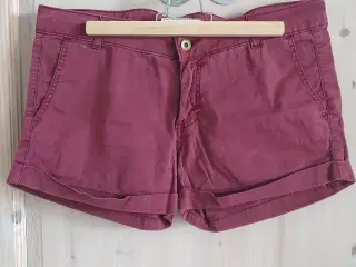 Bordeaux shorts