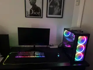 RGB gaming setup