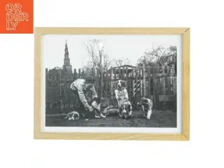 Indrammet sort-hvid fotografi fra Nielsen (str. 21x29,7 cm)