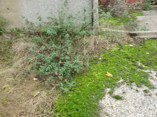 silo elementer