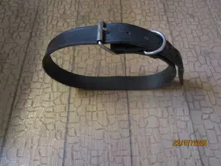 Masser af nye ting til den lille og den store hund