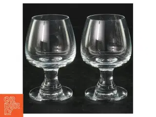 Cognac glas (str. H. 10 cm)