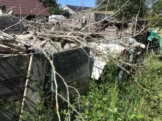 Træ til brændeovn og fyr