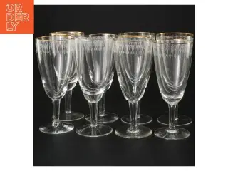 Vintage champagneglas med guldkant (str. 13,5 cm)