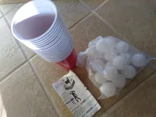 BEER PONG festspil