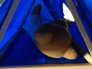 Sylvanian telt med tilhørende  bamse