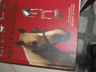 Den store bog om Heste og Ponyer