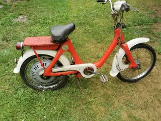 Honda P25  4takt