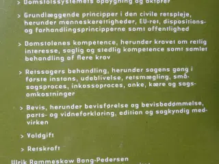 Den Civile Retspleje :