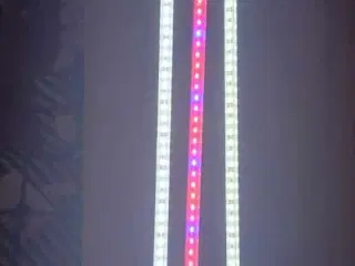 Led lys skinne og pære