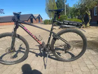 Specialized mountain Bike