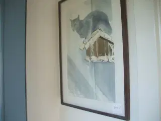 Kat og fuglehus