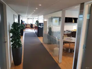 Superflotte kontorer