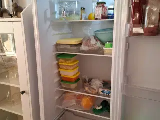 Senz køleskab knap 2 år gammel. 