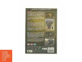Animal life - Young & Wild (DVD)