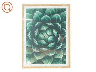 Billedramme i træ (str. LB: 30x40 cm)