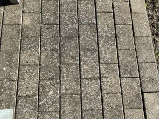 Beton sten 