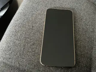 iPhone 13 Pro perfekt stand