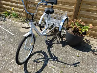 Hvid voksen trehjulet 6 gear 