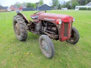Ferguson 31 starter og kører fint.