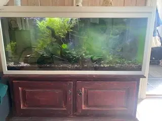 Akvarium til afhenting