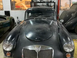 MGA