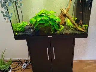 Juwel akvarium med tilbehør 