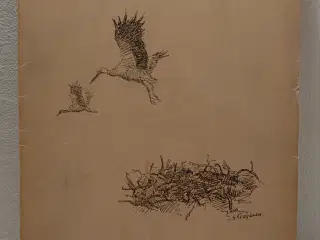 H.C.Andersen:Storkene.ill Stig Aagesen. Nr378 af 7