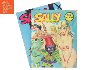 Sally (Bog)