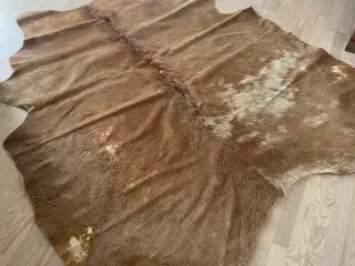 Ko huder som gulvtæpper