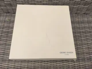 Bang & Olufsen B&O BeoCom 6000