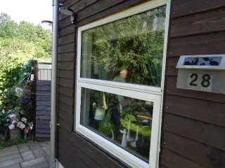 5 vinduer