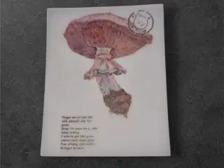 Elegant papirark til kreative og nostalgiske proje