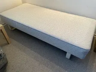 Boksmadras, fin stand