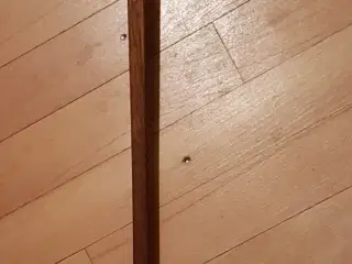 Bøjle Fanger 