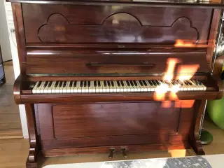 Klaver 