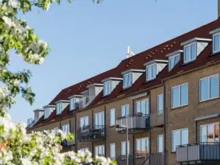 Dit næste yndlingssted på Amager