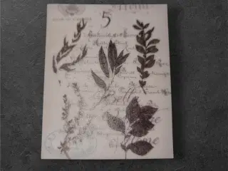 Papirark med botanisk design og vintage detaljer