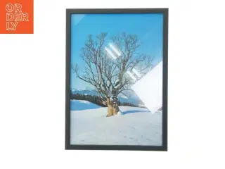 Indrammet billede af vinterlandskab (str. 29,8x42 cm)